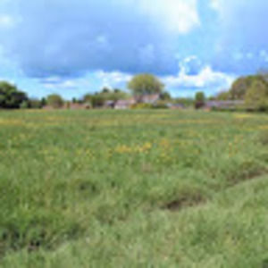 Meet your Posher, Shirley